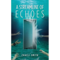 A Streamline of Echoes