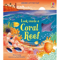 Look Inside a Coral Reef