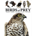 Birds of Prey: Stunning Photographs of the World's Great Hunting Birds