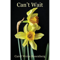 Can't Wait