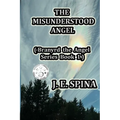 The Misunderstood Angel: Branyrd the Angel Series Book 1
