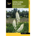 Central Florida Wildflowers