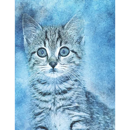 Cat lovers Sketch Book: with 20 cat coloring pages to color, paint, doodle, and sketch . for all cat lovers, 8.5 x 11