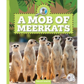 A Mob of Meerkats