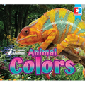 All about Animals - Animal Colors