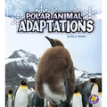 Polar Animal Adaptations