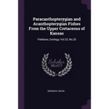 Paracanthopterygian and Acanthopterygian Fishes From the Upper Cretaceous of Kansas: Fieldiana, Geology, Vol.33, No.20