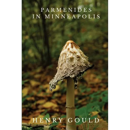 Parmenides in Minneapolis