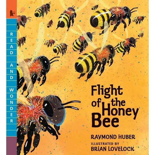 Flight of the Honey Bee: Read and Wonder