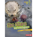 Sea Otters: Kelp Forest Engineers