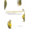 Icarus, Falling of Birds