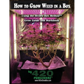 How to Grow Weed in a Box Using the Hi-Dro Box Method: Grow Guide and Workbook