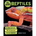 In Focus: Reptiles