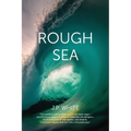 Rough Sea: poems