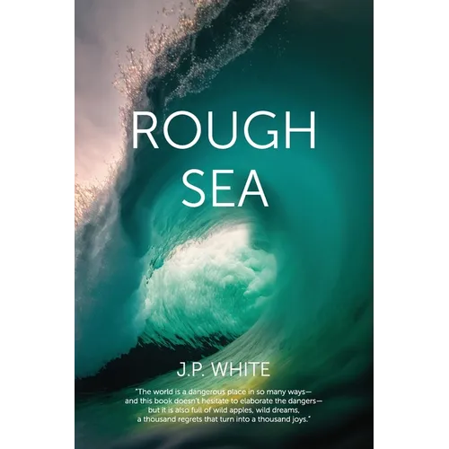 Rough Sea: poems