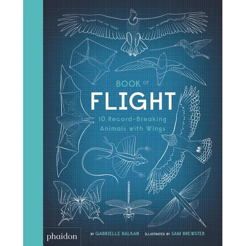 Book of Flight: 10 Record-Breaking Animals with Wings