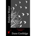 Hidden Water