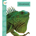 Iguanas