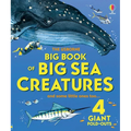 Big Book of Big Sea Creatures