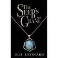 The Seer's Grant