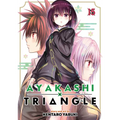 Ayakashi Triangle Vol. 15