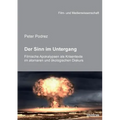 Der Sinn im Untergang. Filmische Apokalypsen als Krisentexte im atomaren und ökologischen Diskurs.
