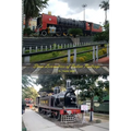 Steam Locomotives of Indian Railways