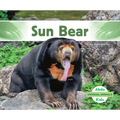 Sun Bear