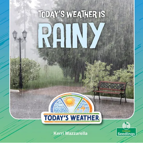 Today's Weather Is Rainy