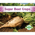 Sugar Beet Crops