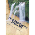 Two Prophetic Streams: ''the Prophet and the Seer''