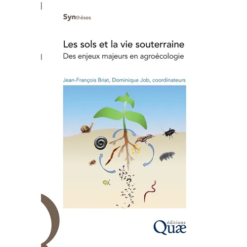 Les sols et la vie souterraine: Des enjeux majeurs en agroécologie