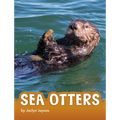 Sea Otters