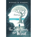 The Sail Needs the Wind: Challenges