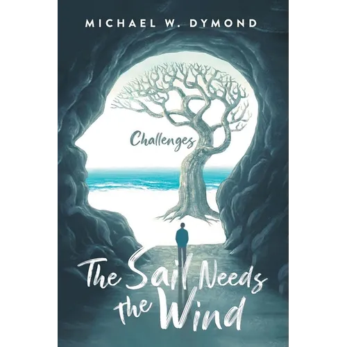 The Sail Needs the Wind: Challenges