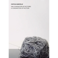 Cinthia Marcelle: A Conjunction of Factors