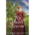 No Small Storm