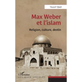Max Weber et l'islam: Religion, culture, destin