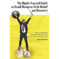 The Battle Scarred Guide to Small Business Debt Relief and Recovery: No-nonsense, spill the beans lessons from a turnaround professional