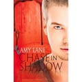 Chase in Shadow