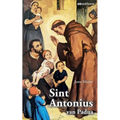 Sint Antonius van Padua: Kerkleraar