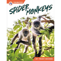 Spider Monkeys