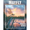Mayfly Photo Book: Stunning Photography Capturing The Lifecycle Of Beautiful Insects And Nature's Wonders