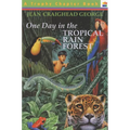 One Day in the Tropical Rain Forest