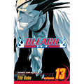 Bleach, Vol. 13