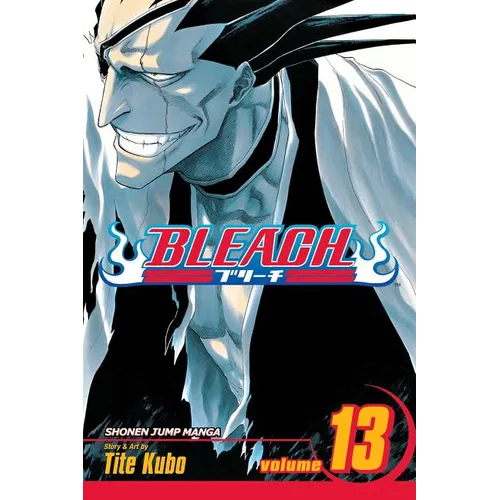 Bleach, Vol. 13