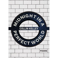 Midnight in a Perfect World