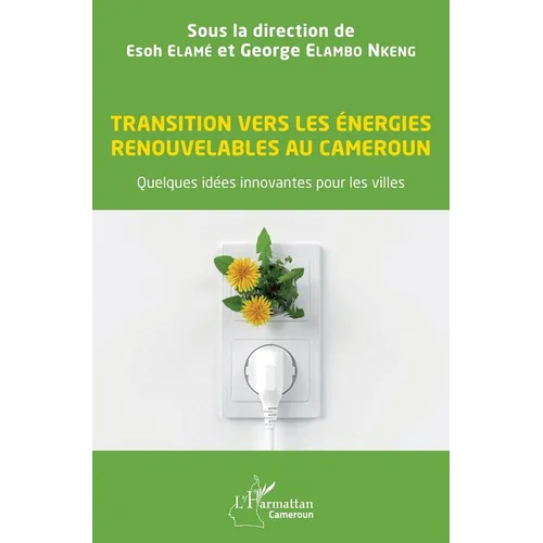 Transition vers les énergies renouvelables au Cameroun: Quelques idées innovantes pour les villes