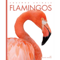 Flamingos