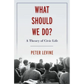 What Should We Do?: A Theory of Civic Life